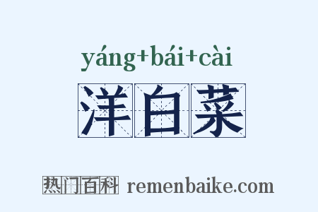 洋白菜是什么意思的图片